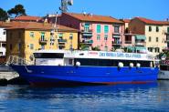Chiamata d'imbarco per direttore di macchina su Nettuno