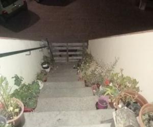 San Piero: &quot;vorrei tanto tornare ad essere libera dai cinghiali&quot;