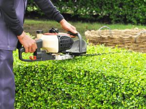 Centro per l'Impiego, selezione per addetto alla manutenzione del verde