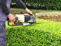 Centro per l'Impiego, selezione per addetto alla manutenzione del verde