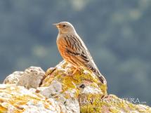 La Foto del Giorno (1° dic.)