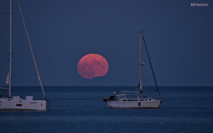 La Foto del Giorno (17 lug.)