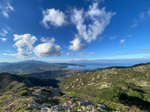 La Foto del Giorno (21 gen.)