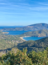 La Foto del Giorno (25 gen.)