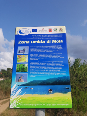 Coluccia: le dimissioni di Mazzantini siano spunto di riflessione per la classe politica e le istituzioni