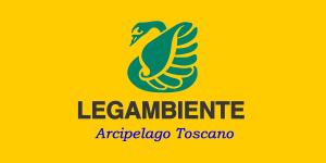 Cinghiali: il tragico incidente e le responsabilità della politica