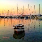 La Foto del Giorno (27 nov.)